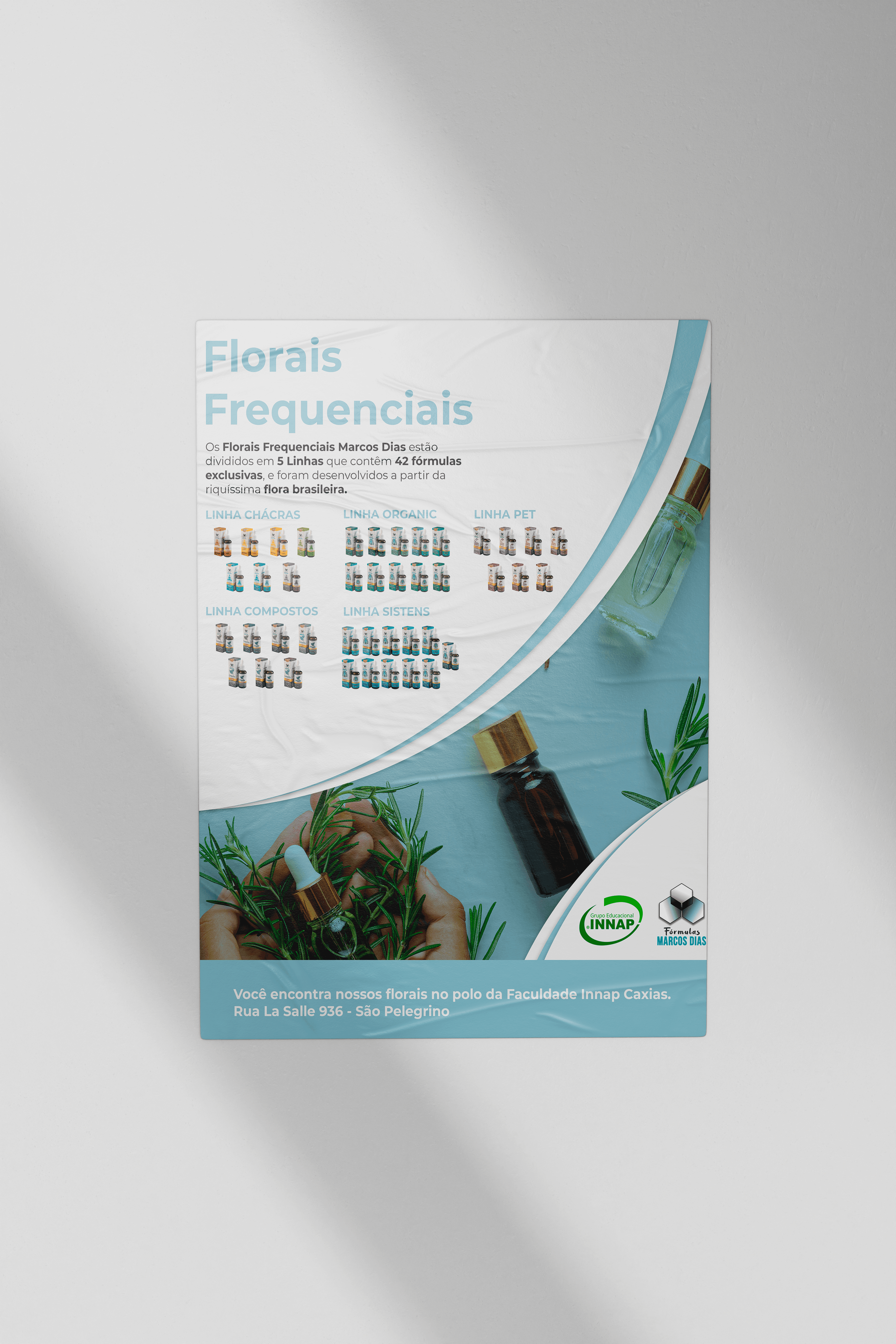 Campanha redes sociais e materiais folder Ana hickmann Echo