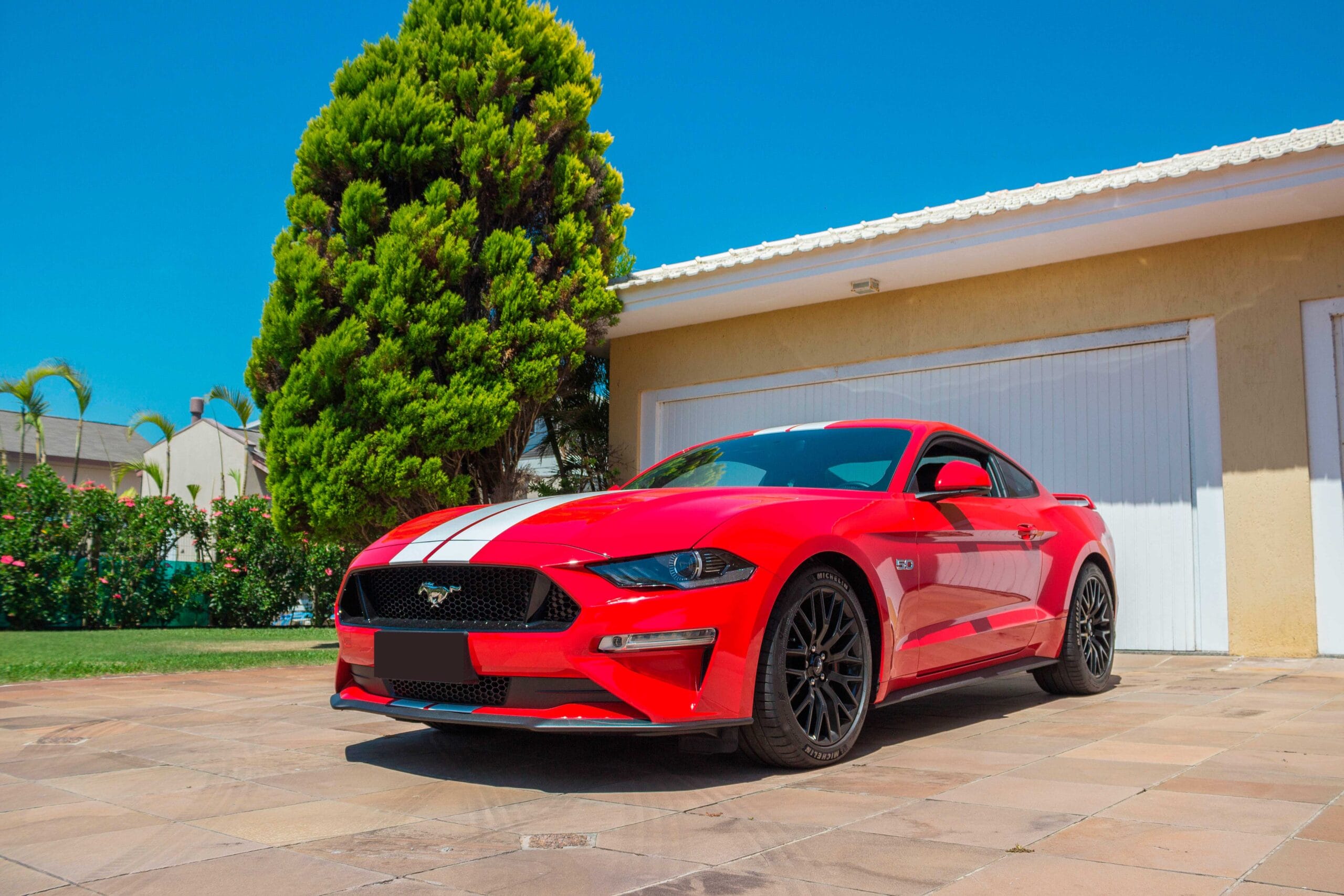 Grupo Feltrin fotografias e ensaio