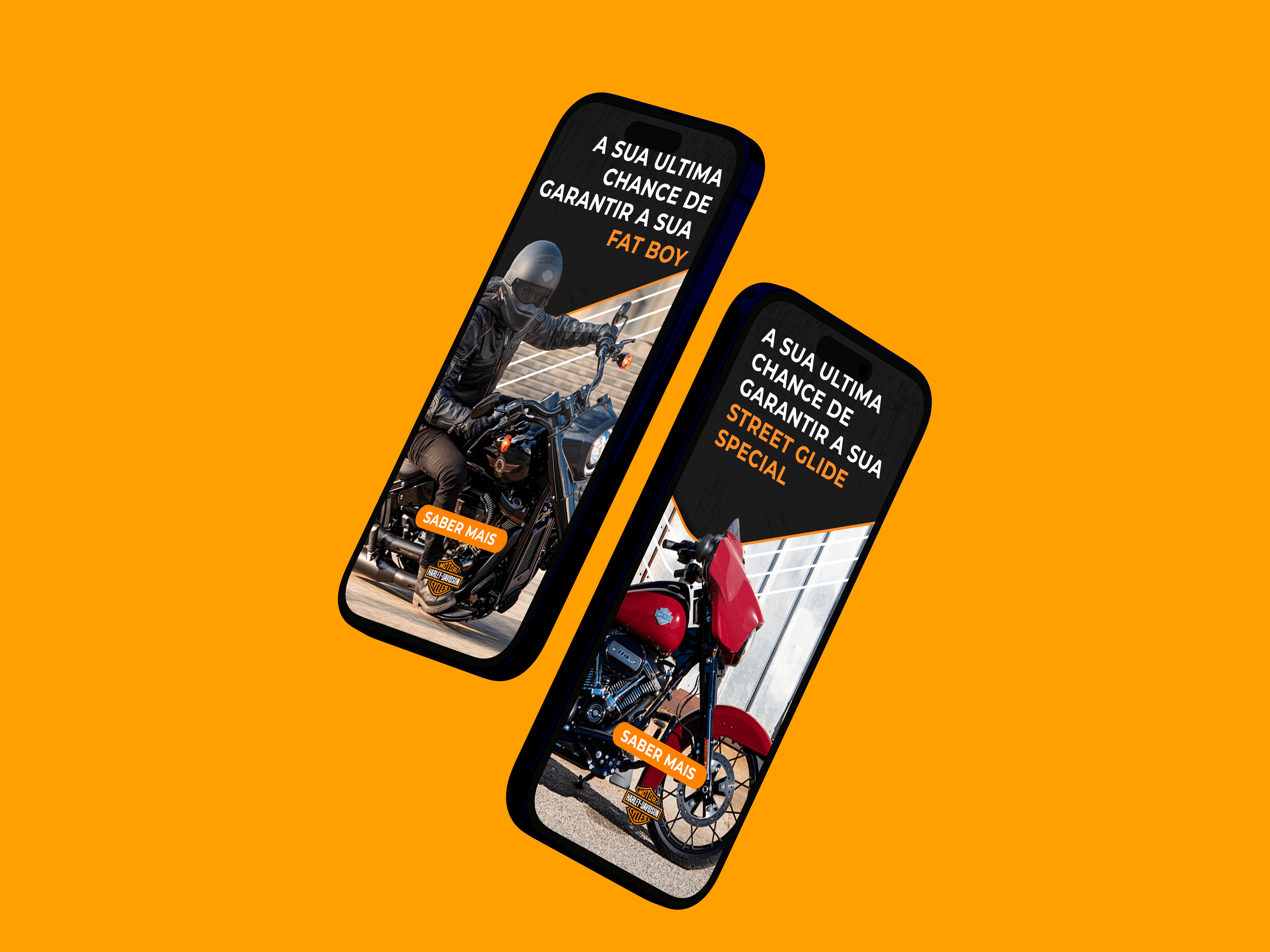 harley davidson echo